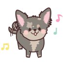 오드리 애견미용실 이미지