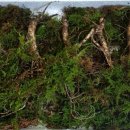 주미 농장 이미지