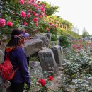 먹골역7번출구 이미지