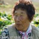 가장농장 이미지