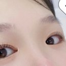 온눈썹