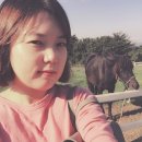 정든목장 이미지