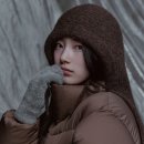 수지디시