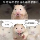 세븐일레븐 평내드림타워점 | 250517 에투메 도쿄 릴리즈 사일런스신드롬: 박석준이 귀여워서 돌아버리겠어요