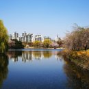 일산호수공원 이미지