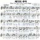 메기의 추억 Daum카페