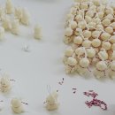 (주)반엔터테인먼트 이미지