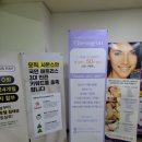 에스테틱 청온