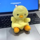고양 노적사 사자상 | 애착인형 추천♡ 팜팔스 내손안에미니펫 인형 솔직 후기