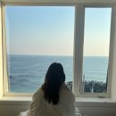 강릉여행(3) _ 강릉 주문진M9펜션 가성비 오션뷰 후기