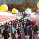 제15회 청송사과축제 이미지