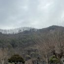 산과강 이미지