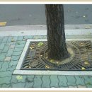 성광골프연습장 이미지