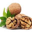 탈모(脫毛) 예방(豫防)에 좋은 음식(飮食) 11가지 이미지