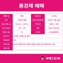 제일부동산중개사무소 이미지