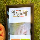 얌샘김밥청주