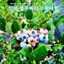 신남 농장 이미지