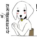 디스크 독 연구소 이미지