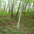 산양농장 이미지