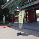 찐제주 이미지