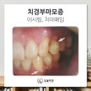 아로치과의원 이미지