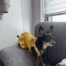 풍납공원 화장실 이미지