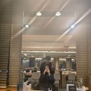 슬릭 교대캠프 | [교대역] ✂️ 준오헤어 교대역점, 믿고 가는 단골 미용실 후기 ✂️