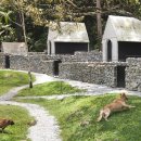 Luxury Dog 이미지