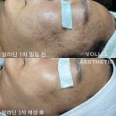 볼리아 송파점