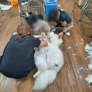 에이치에스평생교육원