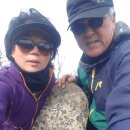 육송정 | 🌸청화산 산행기-블랙야크 100대 명산.푸르게 빛나는 백두대간