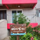 바다의별 | 삼척 애견동반 펜션 추천,오션뷰 바다의별펜션 내돈내산 후기