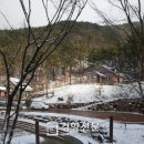 소나무숲속의하얀집 이미지