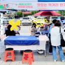 타로상담 이미지