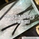 박성희피부미용실 | [부산 수영] 민락동두피관리잘하는곳 센텀 피부관리 갈바닉림프순환 수영구두피관리후기 with 예뻐졌다