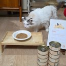 [조공] 고양이 주식캔 습식사료 소피 캣 테이스티 닭