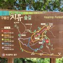 수정산가족체육공원 1(운동장) 이미지