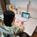 둥이PC | (공구중) 초등 사고력수학 CMS 노이지 화상수업 봄학기 수업