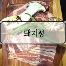 돼지청