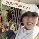 최은경 카카오 검색결과