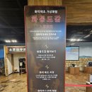 (유)남호관광개발 | 대구근교 아이랑 갈만한곳 영천 실내 아이랑 갈만한곳 최무선과학관 관람 후기