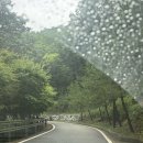 외사양 체험휴양마을 | 보은 가족여행 숙소 추천! 속리산숲체험휴양마을 예약 성공 후기 (수영장, 조식, 할인 꿀팁)