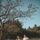 더로그제주 이미지