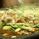 송골농장 이미지