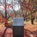 사주1리 이미지