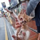 로또와 토토