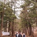 아르코스파펜션 이미지