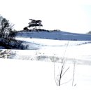 대관령목장 이미지