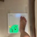 [내돈내산] 쿠팡 저렴이 체중계 :: 노바리빙 디지털 LED 모던 체중계 추천? 비추천? 구매후기