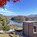 원주굽이길 16코스 매지순환둘레길 | 원주] 매지 저수지 둘레길(원주 소풍길 6코스) / 치악산 바람길 숲 - 2025.11.15/16.. 올해 나의 가을...